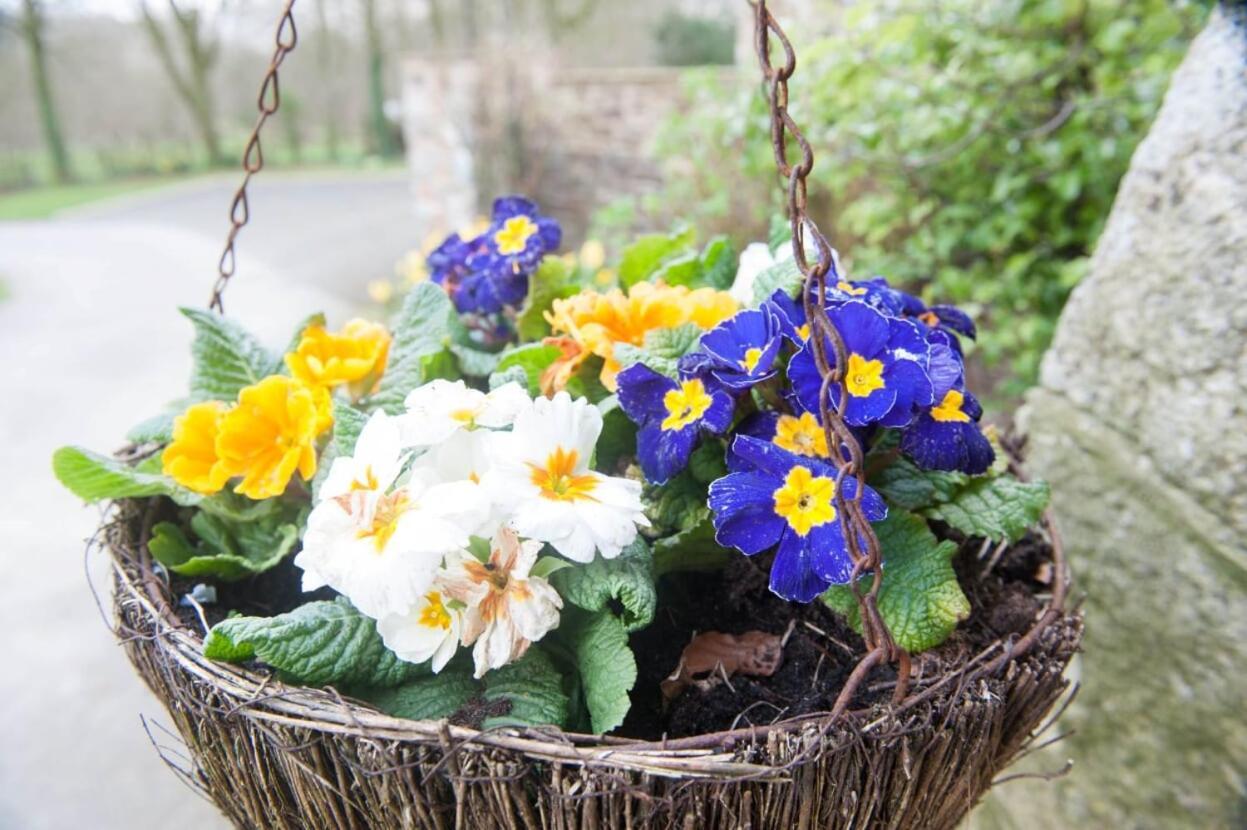Knole Farm Bed and Breakfast Okehampton Exteriör bild